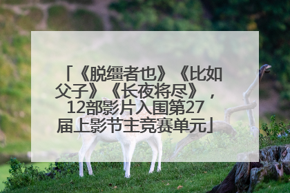 《脱缰者也》《比如父子》《长夜将尽》，12部影片入围第27届上影节主竞赛单元