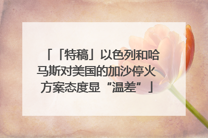 「特稿」以色列和哈马斯对美国的加沙停火方案态度显“温差”