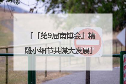 「第9届南博会」精雕小细节共谋大发展
