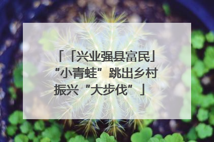 「兴业强县富民」“小青蛙”跳出乡村振兴“大步伐”