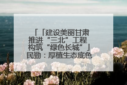 「建设美丽甘肃 推进“三北”工程 构筑“绿色长城”」民勤：厚植生态底色 筑牢绿色屏障
