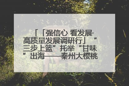「强信心 看发展·高质量发展调研行」“三步上篮”托举“甘味”出海——秦州大樱桃高质量发展动作分解