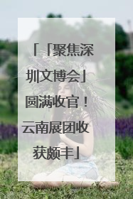 「聚焦深圳文博会」圆满收官！云南展团收获颇丰