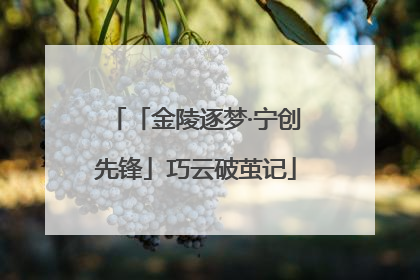 「金陵逐梦·宁创先锋」巧云破茧记