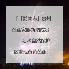 「黔物志」贵州芭蕉家族新增成员——习水自然保护区发现黄苞芭蕉