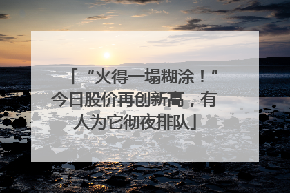 “火得一塌糊涂！”今日股价再创新高，有人为它彻夜排队