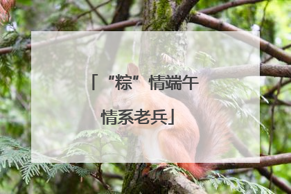 “粽”情端午 情系老兵