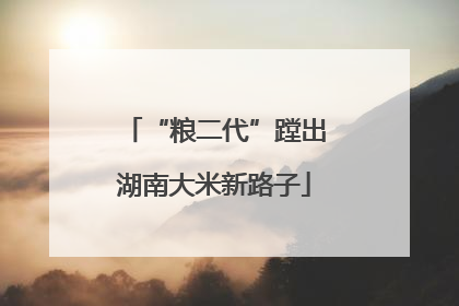 “粮二代”蹚出湖南大米新路子
