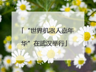 “世界机器人嘉年华”在武汉举行