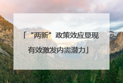 “两新”政策效应显现 有效激发内需潜力