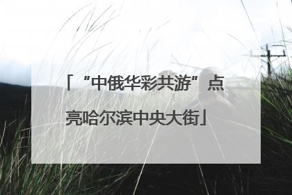 “中俄华彩共游”点亮哈尔滨中央大街