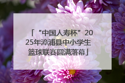“中国人寿杯”2025年漳浦县中小学生篮球联赛圆满落幕