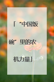“中国饭碗”里的农机力量