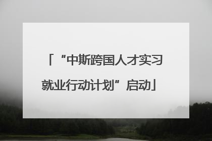 “中斯跨国人才实习就业行动计划”启动