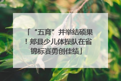 “五育”并举结硕果！郏县少儿体操队在省锦标赛勇创佳绩