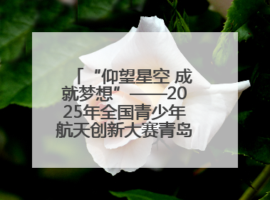 “仰望星空 成就梦想”——2025年全国青少年航天创新大赛青岛选拔赛成功举办