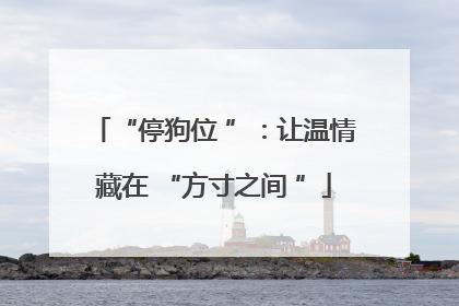 “停狗位 ”：让温情藏在 “方寸之间 ”