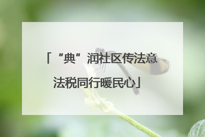 “典”润社区传法意 法税同行暖民心