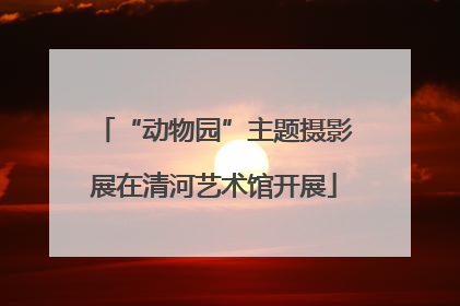 “动物园”主题摄影展在清河艺术馆开展