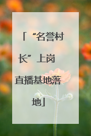 “名誉村长”上岗 直播基地落地