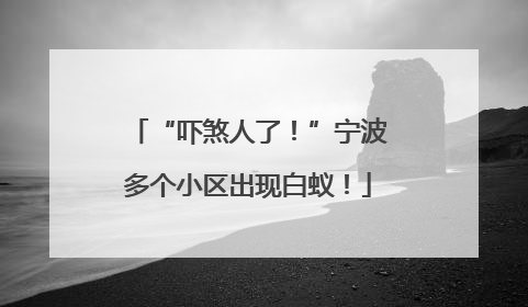 “吓煞人了！”宁波多个小区出现白蚁！
