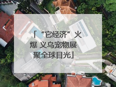 “它经济”火爆 义乌宠物展聚全球目光