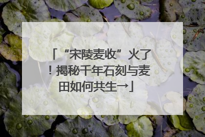 “宋陵麦收”火了！揭秘千年石刻与麦田如何共生→