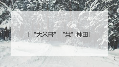 “大米哥”“慧”种田