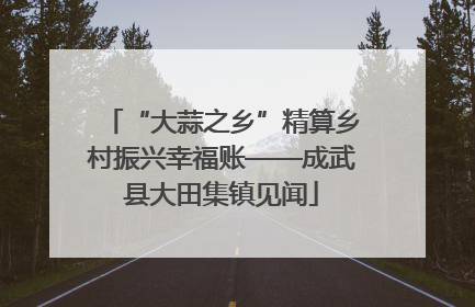 “大蒜之乡”精算乡村振兴幸福账——成武县大田集镇见闻