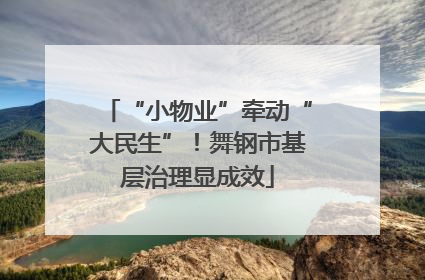 “小物业”牵动“大民生”！舞钢市基层治理显成效