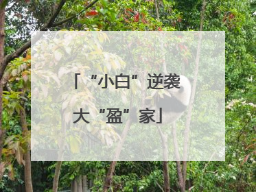 “小白”逆袭大“盈”家