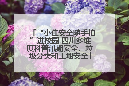 “小住安全随手拍”进校园 四川多维度科普汛期安全、垃圾分类和工地安全