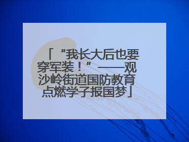 “我长大后也要穿军装！”——观沙岭街道国防教育点燃学子报国梦