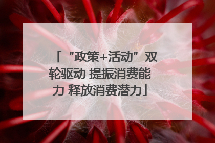 “政策+活动”双轮驱动 提振消费能力 释放消费潜力