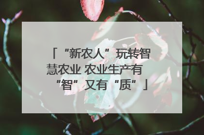 “新农人”玩转智慧农业 农业生产有“智”又有“质”
