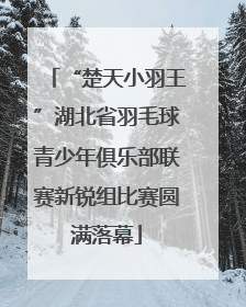 “楚天小羽王”湖北省羽毛球青少年俱乐部联赛新锐组比赛圆满落幕