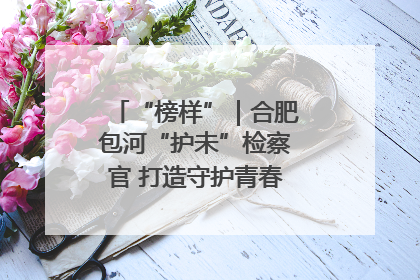 “榜样”｜合肥包河“护未”检察官 打造守护青春成长的永恒灯塔