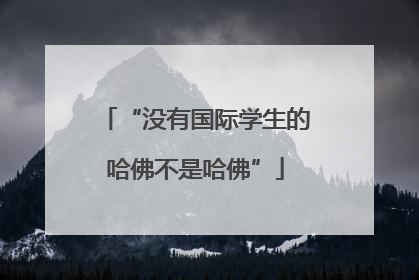 “没有国际学生的哈佛不是哈佛”
