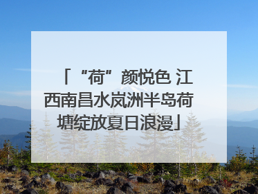 “荷”颜悦色 江西南昌水岚洲半岛荷塘绽放夏日浪漫