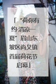 “荷你有约·清凉一夏”眉山东坡区尚义镇首届荷花节启幕