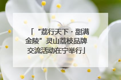 “荔行天下・甜满金陵”灵山荔枝品牌交流活动在宁举行