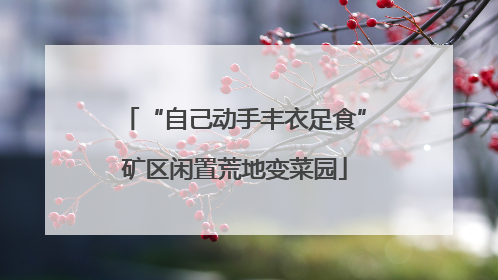 “自己动手丰衣足食”矿区闲置荒地变菜园