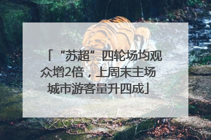 “苏超”四轮场均观众增2倍，上周末主场城市游客量升四成