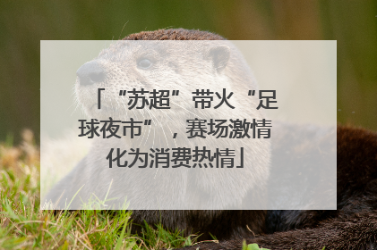 “苏超”带火“足球夜市”，赛场激情化为消费热情