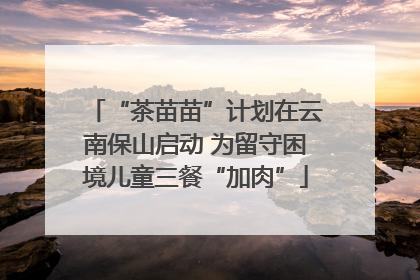 “茶苗苗”计划在云南保山启动 为留守困境儿童三餐“加肉”