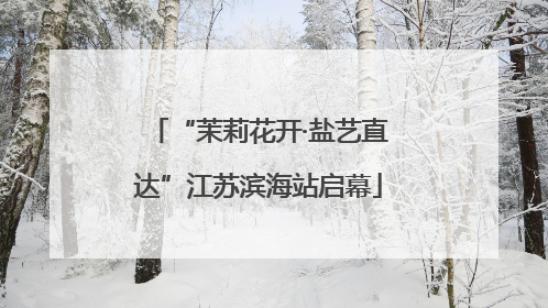 “茉莉花开·盐艺直达”江苏滨海站启幕