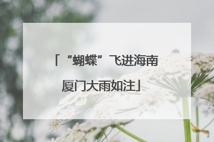 “蝴蝶”飞进海南 厦门大雨如注