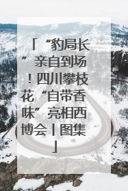 “豹局长”亲自到场！四川攀枝花“自带香味”亮相西博会丨图集