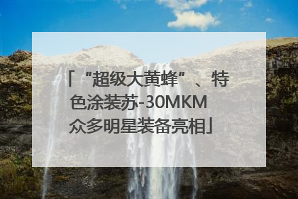 “超级大黄蜂”、特色涂装苏-30MKM 众多明星装备亮相