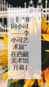 “非同小可——李小可艺术展”在西藏美术馆开幕